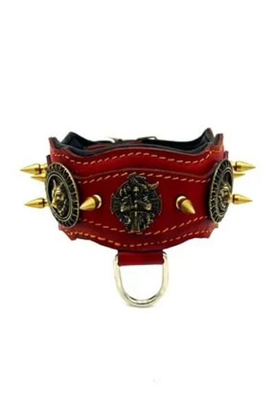 Tasma Market Red Special Design Leather Dog Collar