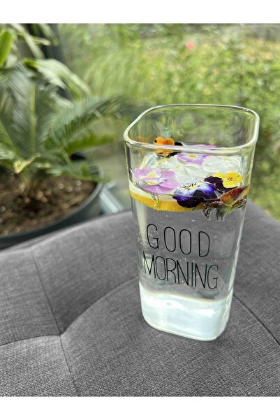 Carat Home مجموعة من 6 أكواب زجاجية مربعة من البورسليكات جود مورنينج 500 مل 6 قطع