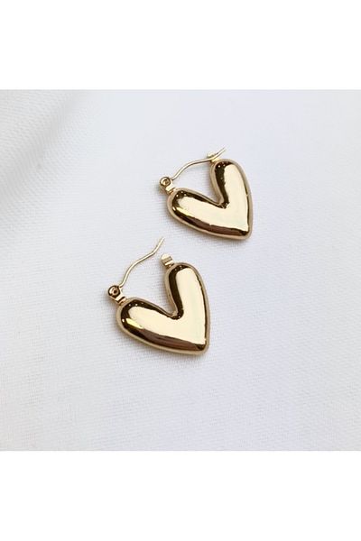 a rose jewelry Heart Steel Earrings