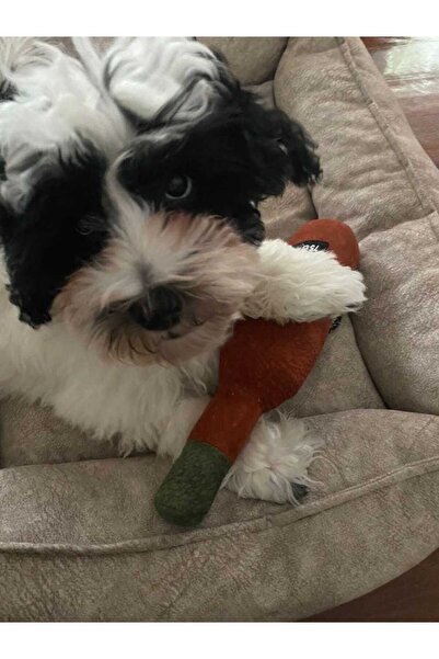 Genel Markalar Bottle Toy, Köpek Oyuncağı, Kedi Oyuncağı, Peluş Oyuncak (turkuaz)