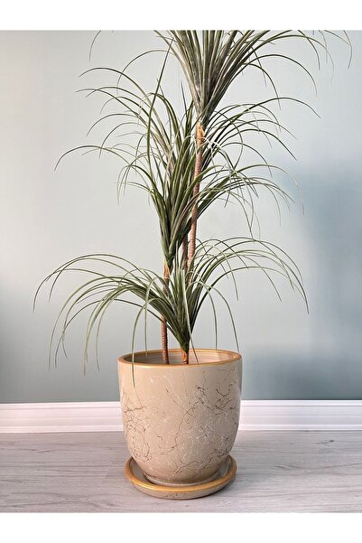 odka 10litre Saksı Tabaklı Çap:25cmx Yükseklik:23cm Lily Taş Beyaz Gold