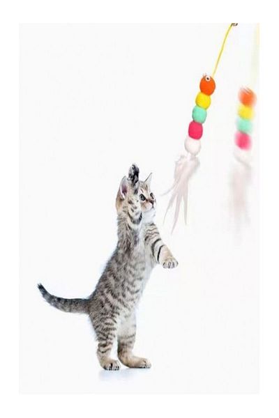 Trendyıldızı Elastic Cat Play Rod - Adhesive