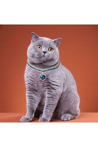 SYNOPE Luxurious Crystal Blue Gemstone Glittering Heart Ornate Cat Dog Collar Harness Necklace Animal Accessories