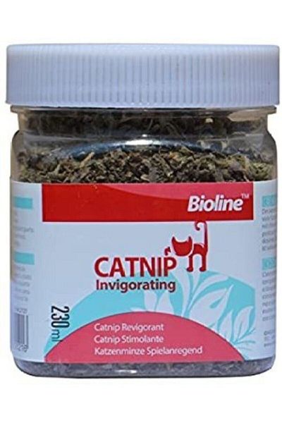 Kedi Otu Fiyatlari Ve Modelleri