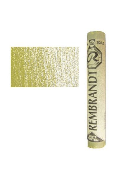 Rembrandt Soft Pastel Paint Deep Yellow 202.3
