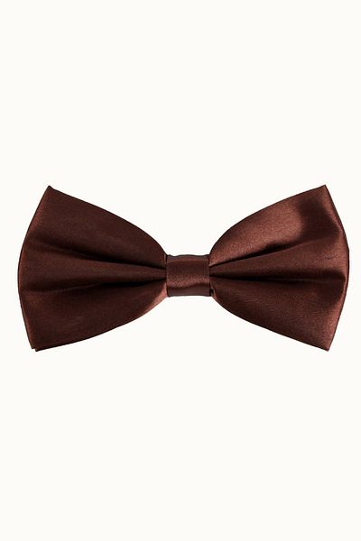 Zaim Aksesuar Brown Men's Brown Satin Bow Tie 111