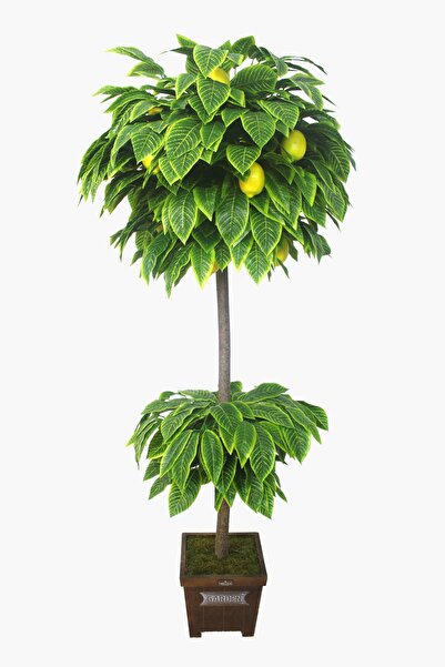 Yapay Çiçek Deposu Yapay Ağaç Limon Ağacı 180 Cm
