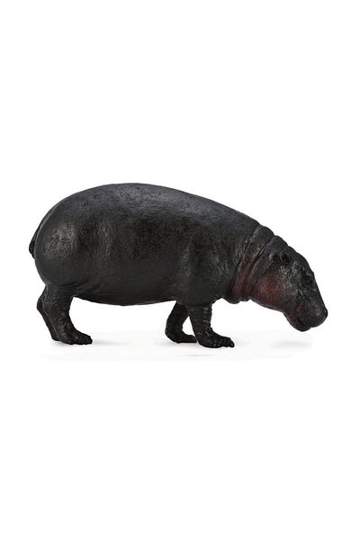 Collecta قزم فرس النهر