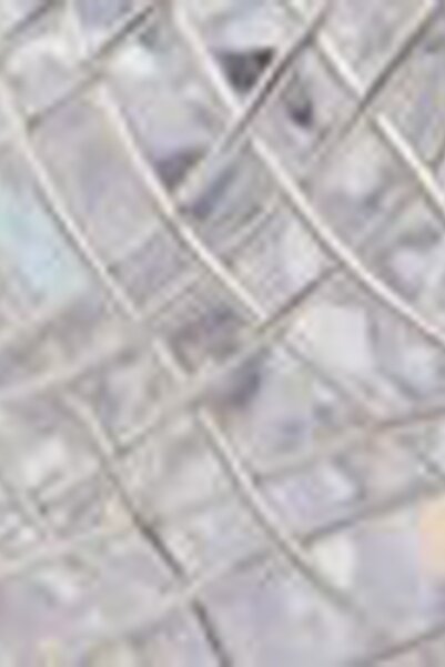 Aldo Karışık Kadın Çelik Küpe 112082