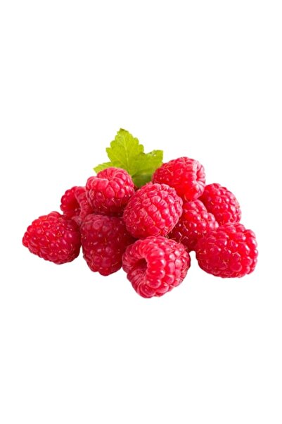 Mutlu Sebzeler Ahududu Frambuaz 125gr'lık 1 Paket