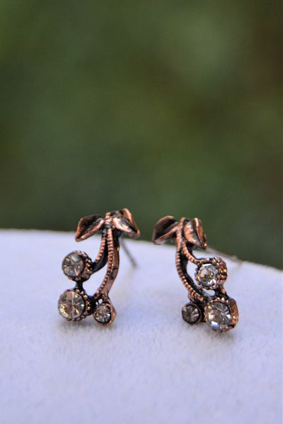 Stoneage Elegant Bronze Women's Earrings