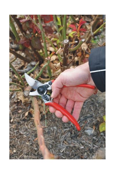 Felco 11 Pruning Shears By-pas Right Hand