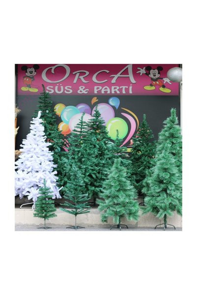 Sivassüsdünyası Brad de pin 90 cm