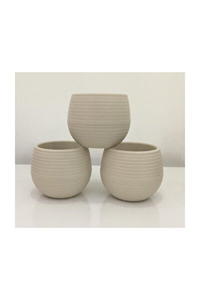 Ekodoğa Kaktüs Saksısı 0,13 Lt 6.2x6.6 Cm Saksı Alana 0,5 Lt Kaktüs Toprağı