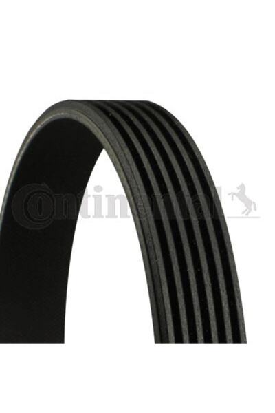 CONTITECH Kanallı Kayış Vw T4 2.4d 10v (90-02) Mercedes Ford Focus (98-05) Chrysler Daewoo Dodge Lex