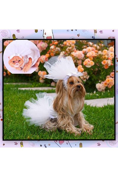 MAXSTYLESPET Pet Wedding Dress And Veil For Dog And Cat Wedding Wedding Engagement Marriage Outfit Dress