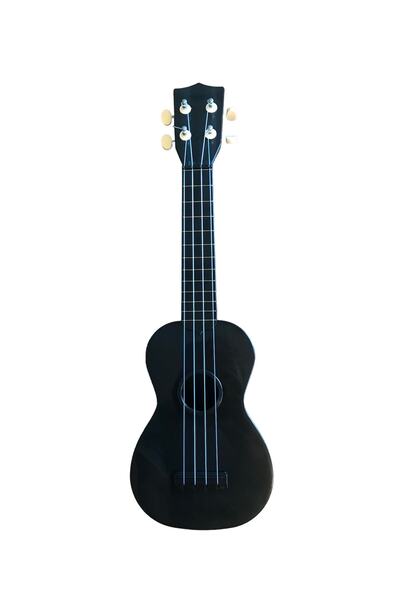 hawiian Ukulele soprano (compozit)