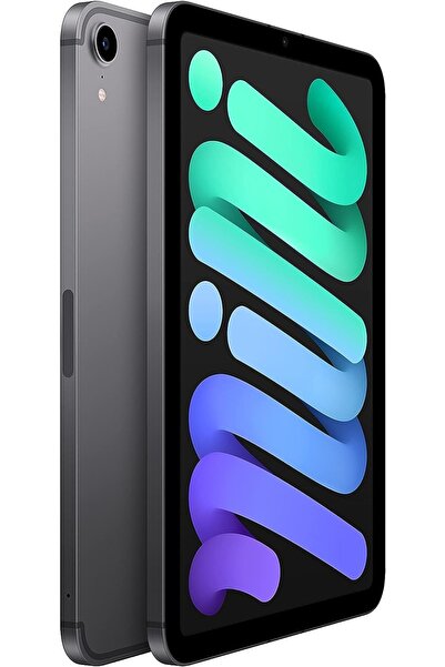 Apple Ipad Mını Wıfı Cell Mk8f3tu/a 256gb Space Gray