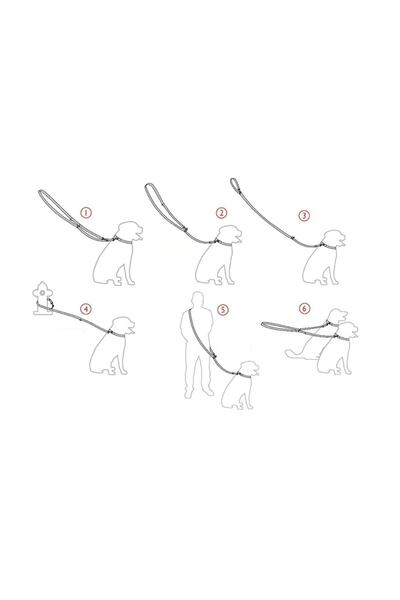 Pet Trendy Shop Hands Free Multifunctional Dog Walking Collar/Provice Strap