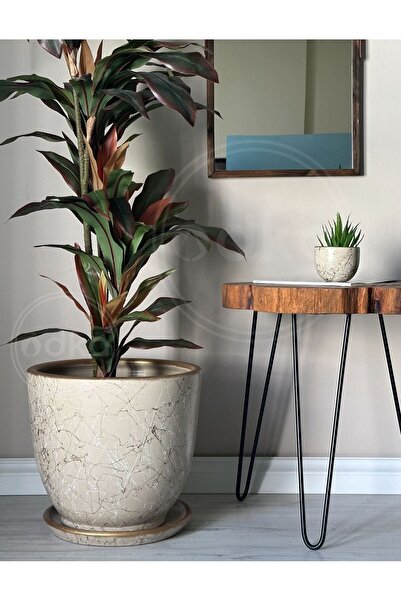 odka 20litre Klasik Saksı Tabaklı 30cmx30cm Lily Taş Gold Beyaz