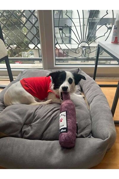 Genel Markalar Bottle Toy, Köpek Oyuncağı, Kedi Oyuncağı, Peluş Oyuncak (turkuaz)