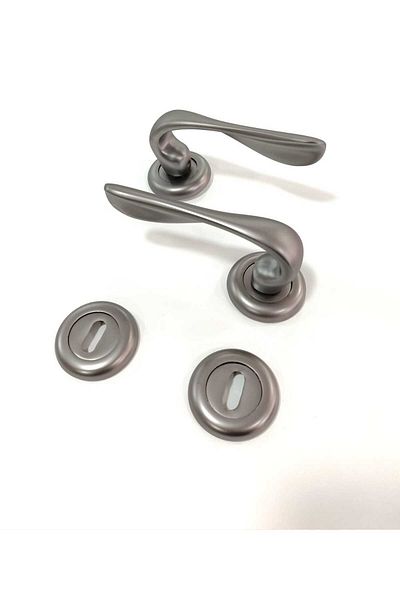 ARON NEW LUXURY SOFIA HANDLE STAINLESS (MATTE SMOKED) ROUND BADGE (ROOM) DOOR HANDLE