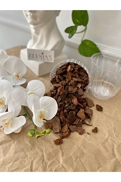 Elysian Orkide Toprağı Vitaminli Doğal Çam Kabuğu 3 Litre Besleyici Düzenleyi...