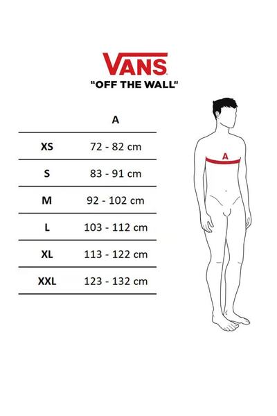 Vans Wrecked Angle-B Men's T-Shirt VN000AFJWHT1