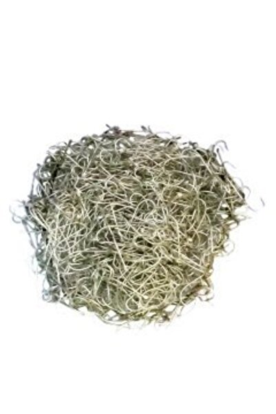 EFFE 2310-20- Galvaniz 1000-adet Dökme Iğne 20 Numara Kalın Çapraz