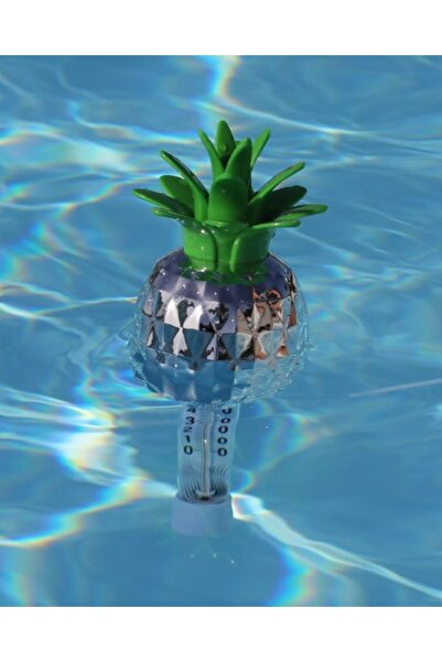 10linehavuz Havuz Termometre, Sabitleme Kordonlu Gümüş Renk Ananas Havuz Isı ...