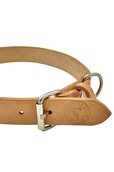 TB Leather Deri Köpek Tasması