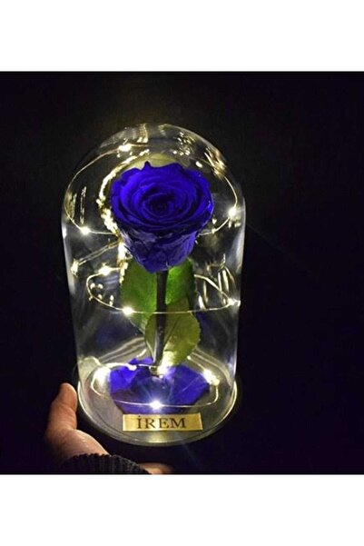 Redblue Fanuslu ledli kadife gül