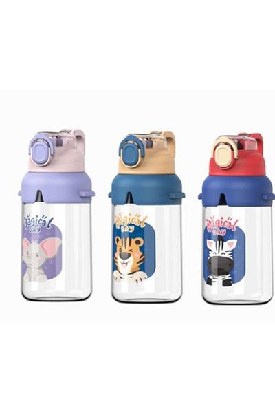 DILLER Water Bottle with Straw Vagonlife D-65 650ml