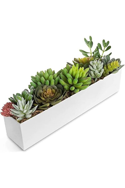 janiyeva (40 cm ) Yeni SUKULENT Kaktüs Saksı Çiçeklik Bahçe DUVAR&MASA ÜSTÜ(1...