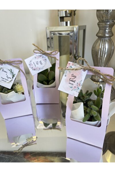 FİDAN PAZARI ÇANTALI HEDİYELİK SUKULENT MİX 20 ADET(PEMBE RENK)