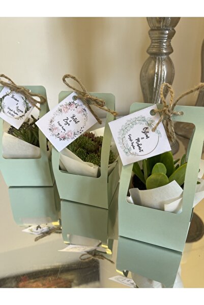 FİDAN PAZARI ÇANTALI HEDİYELİK SUKULENT MİX 20 ADET ( YEŞİL RENK)