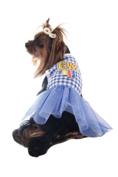 Aşkın Parti Evi Dog Blue Love Dress