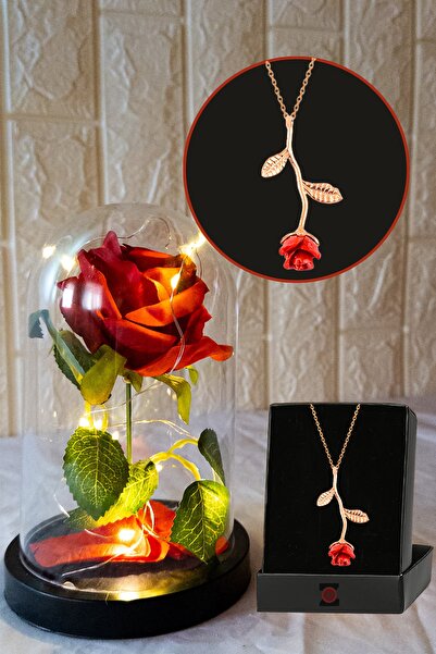 Zemtigo Fanus Içerisinde Peri Led Işıklı Solmayan Kırmızı Gül Lamba Ve Gül Altın Kaplama Kolye