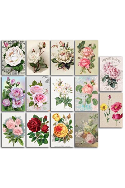 TELLGRAF مجموعة بطاقات بريدية بموضوع الورد (14 قطعة مقاس 10x15 سم)