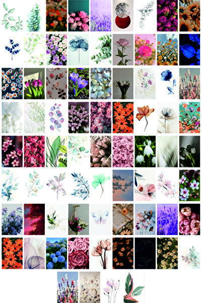 TELLGRAF مجموعة بطاقات بريدية بموضوع الزهور (76 قطعة مقاس 10x15 سم)