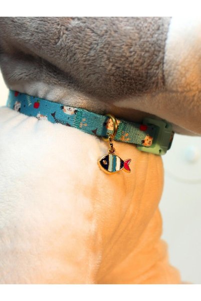 CARAMELOS Puppy and Small Breed Dog Adjustable Collar 1 cm