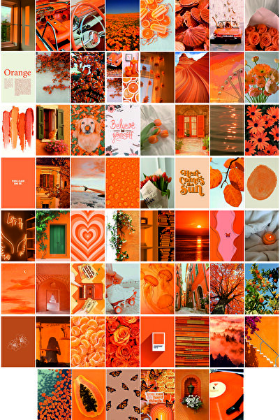 TELLGRAF مجموعة بطاقات بريدية ذات طابع برتقالي (10x15 سم 48 قطعة)