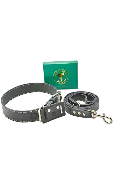 TB Leather Deri Köpek Tasması - Sağlamlık Garantili - Bitkisel Tabaklanmış Deri Dikişli Boyun Tasma