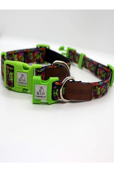 CARAMELOS Small Breed and Puppy Collar