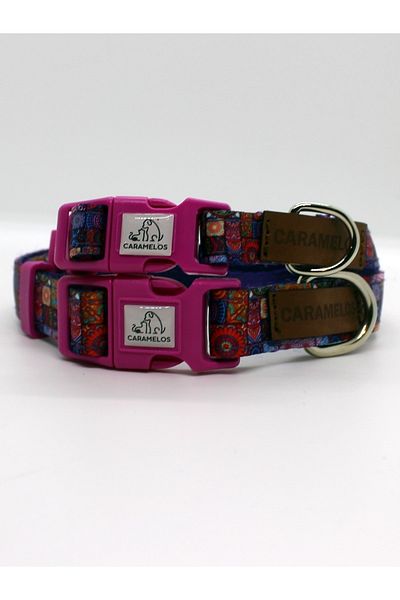 CARAMELOS Small Breed and Puppy Collar