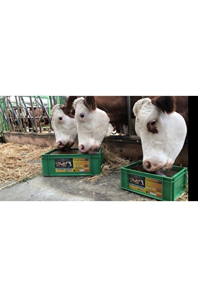 EŞREF ŞEKERLİ Vitacowa 25 Kg Yalama Kovası, Vitamin, Mineral