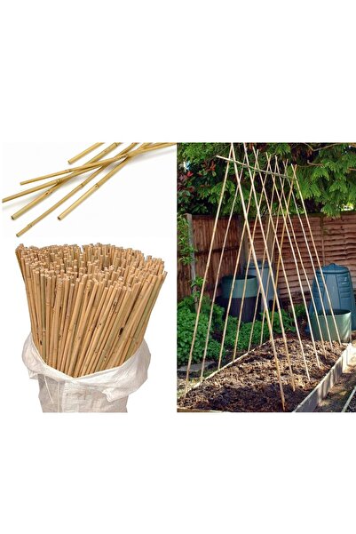 DOĞA FİDANCILIK 40 Adet Bambu Bitki Fidan Destek Çubuğu 190 - 200 Cm