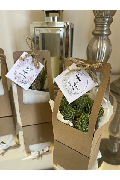 FİDAN PAZARI ÇANTALI HEDİYELİK SUKULENT MİX 20 ADET(KRAFT RENK)