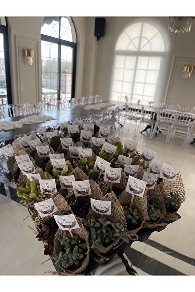 FİDAN PAZARI Jüt Süslemeli Ve Isimlikli Sukulent Hediyelik 20 Adet