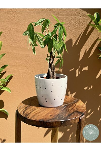 Garden Art El Yapımı Puantiye Detaylı Seramik Saksı 15 Cm